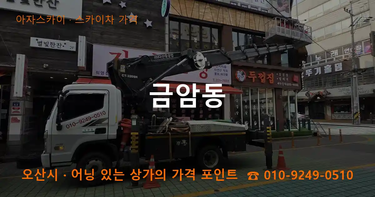 오산시 금암동 스카이차 가격 작업