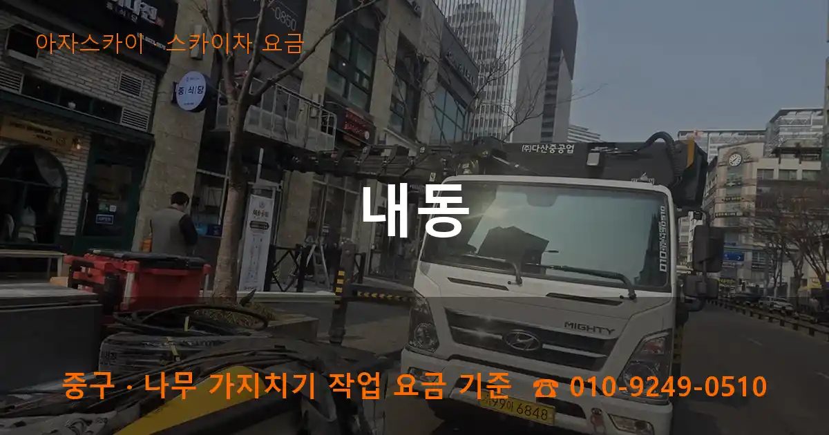 중구 내동 스카이차 요금 작업