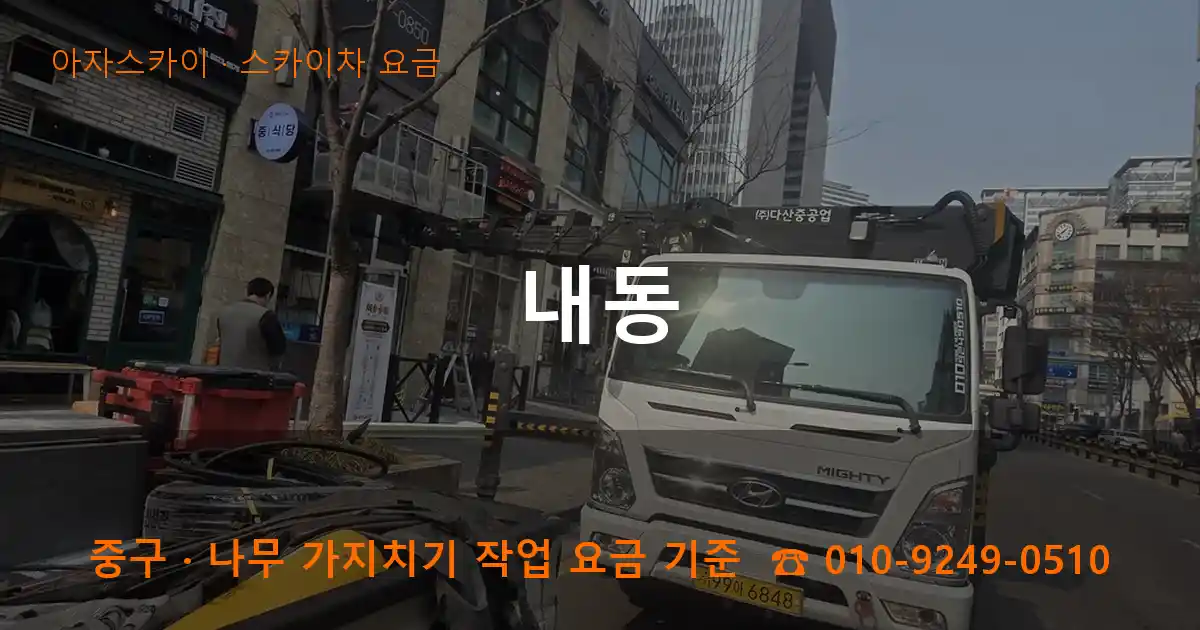 중구 내동 스카이차 요금 작업