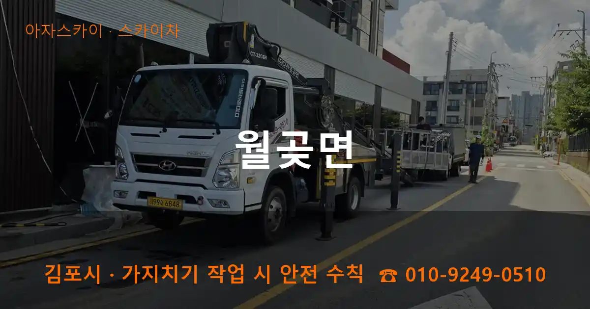 김포시 월곶면 스카이차 작업