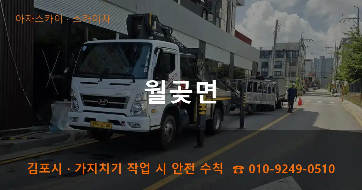 김포시 월곶면 스카이차 작업