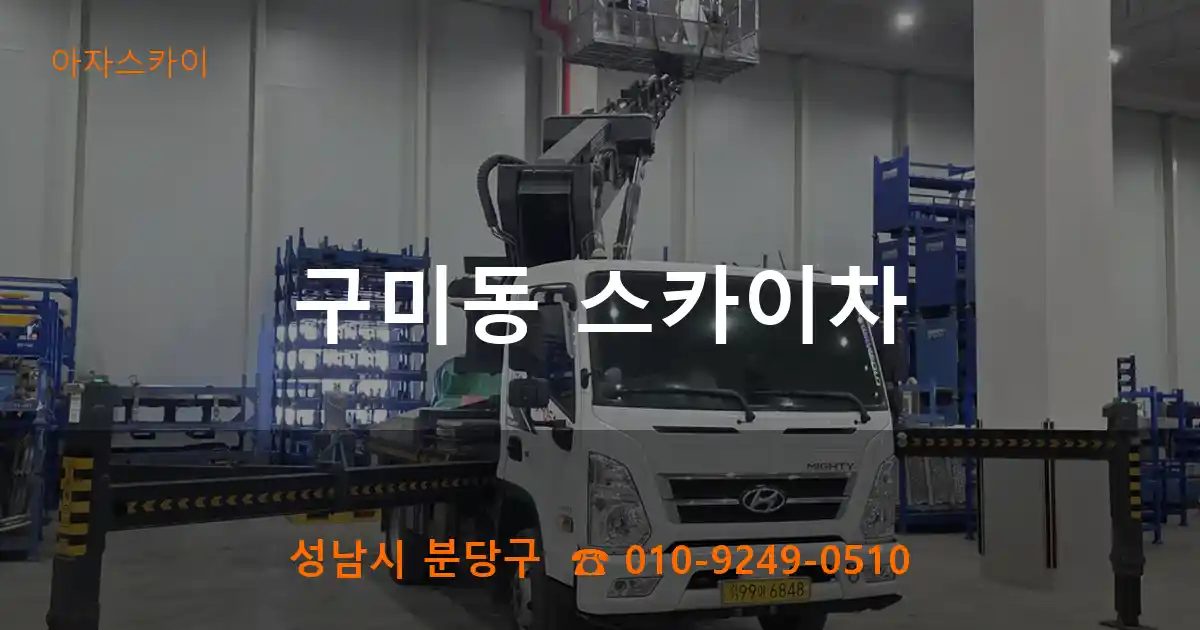 성남시 분당구 구미동 스카이차