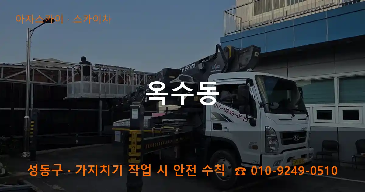 성동구 옥수동 스카이차 작업