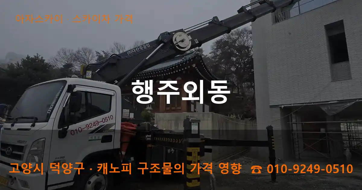 고양시 덕양구 행주외동 스카이차 가격 작업