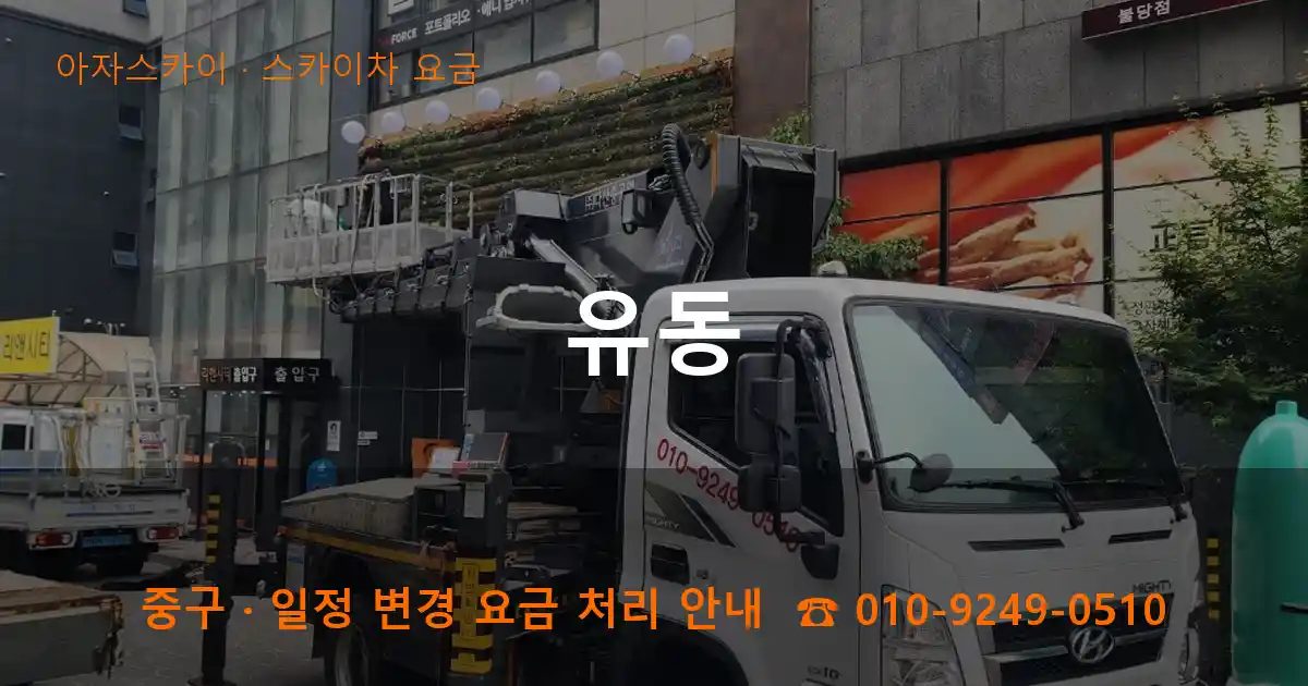 중구 유동 스카이차 요금 작업
