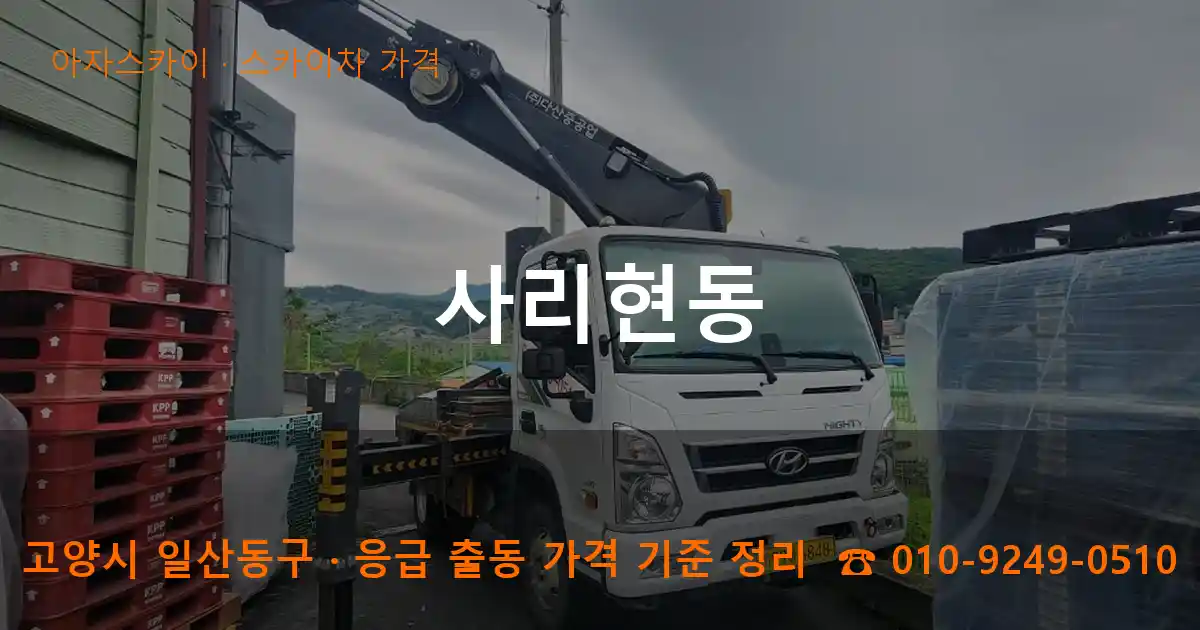 고양 일산동구 사리현동 스카이차 가격 작업