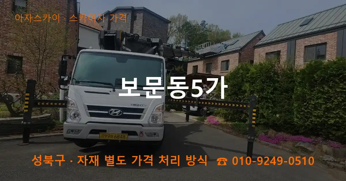 성북구 보문동5가 스카이차 가격 작업