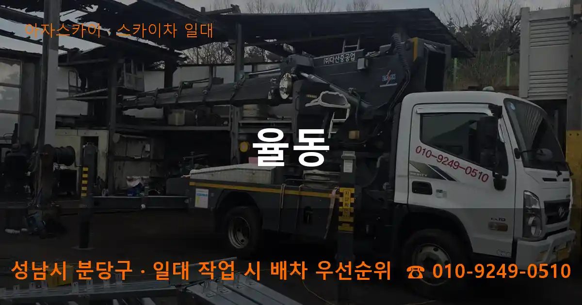 성남시 분당구 율동 스카이차 출장 작업