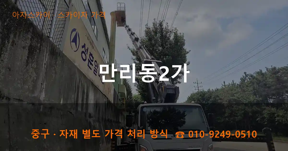중구 만리동2가 스카이차 가격 작업
