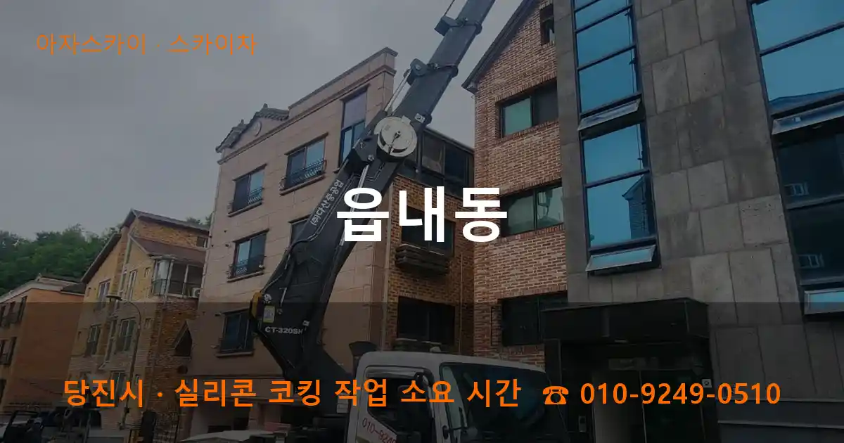 당진시 읍내동 스카이차 작업