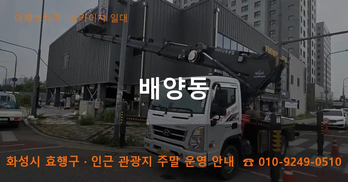 화성시 효행구 배양동 스카이차 출장 작업
