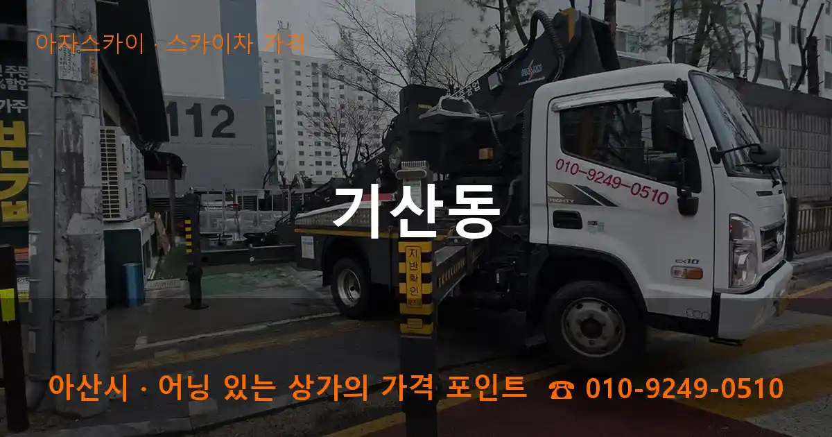 아산시 기산동 스카이차 가격 작업