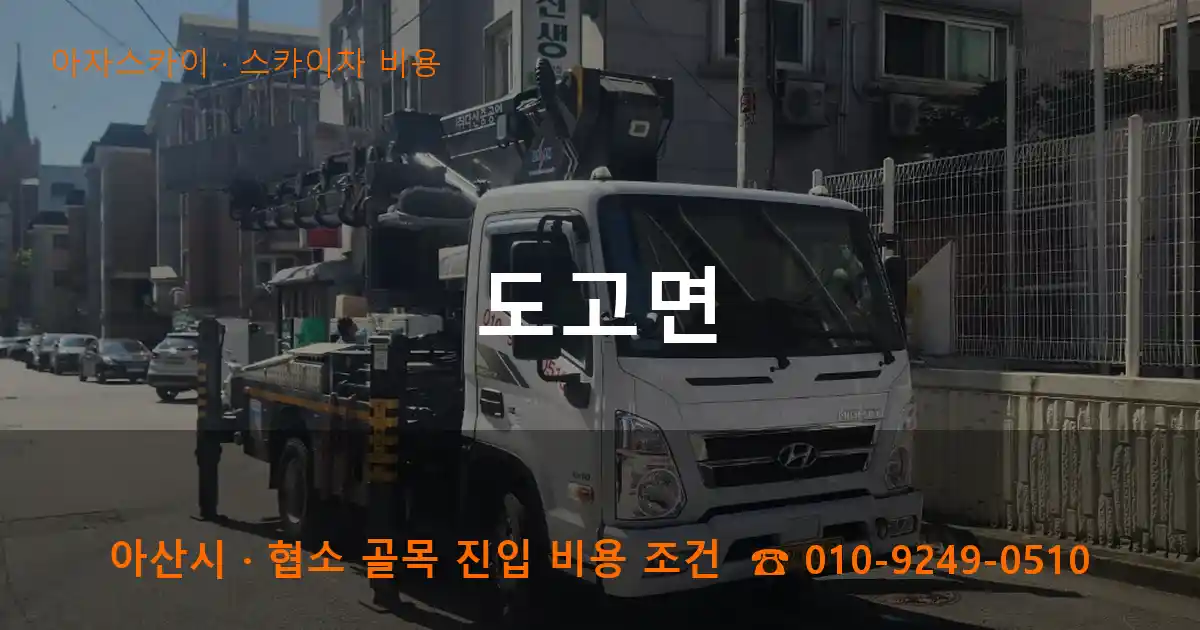 아산시 도고면 스카이차 비용 작업