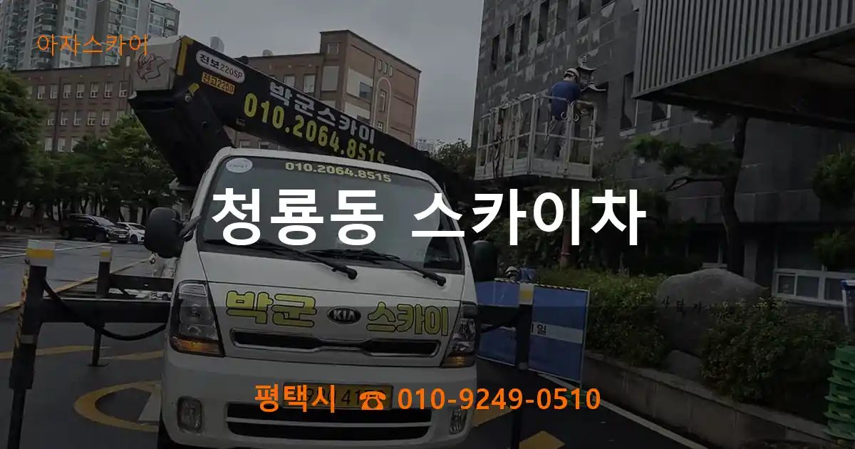 평택시 청룡동 스카이차