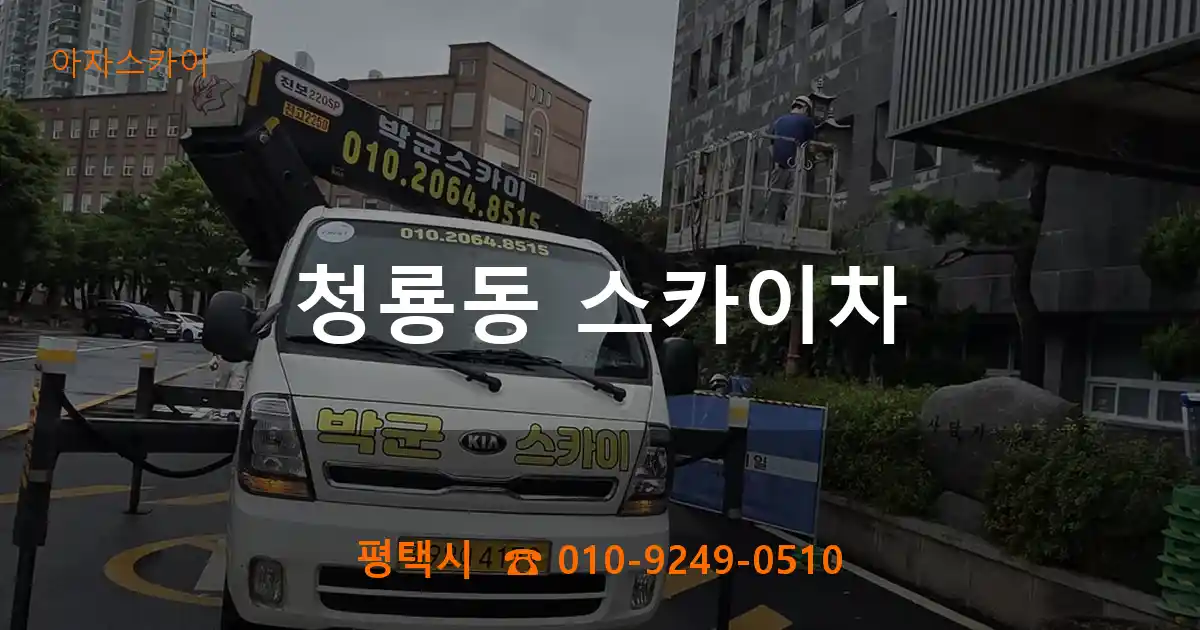 평택시 청룡동 스카이차