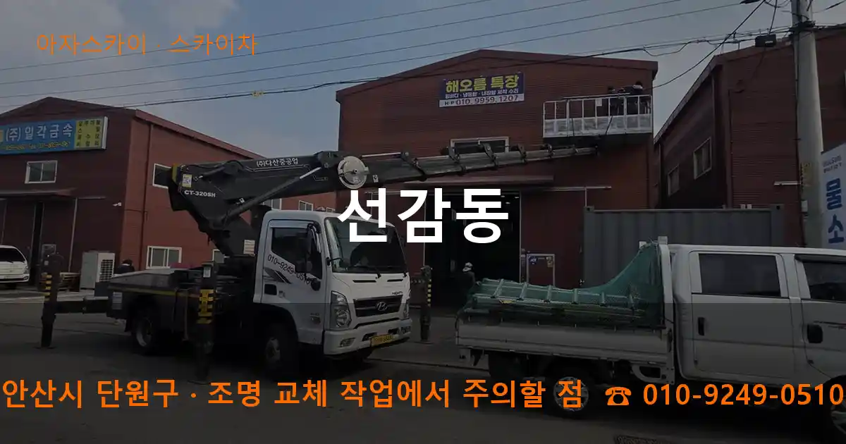 안산시 단원구 선감동 스카이차 작업
