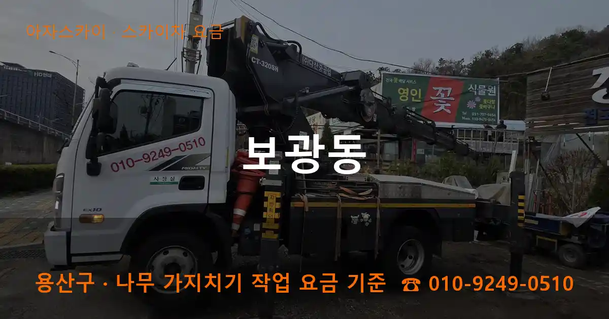 용산구 보광동 스카이차 요금 작업