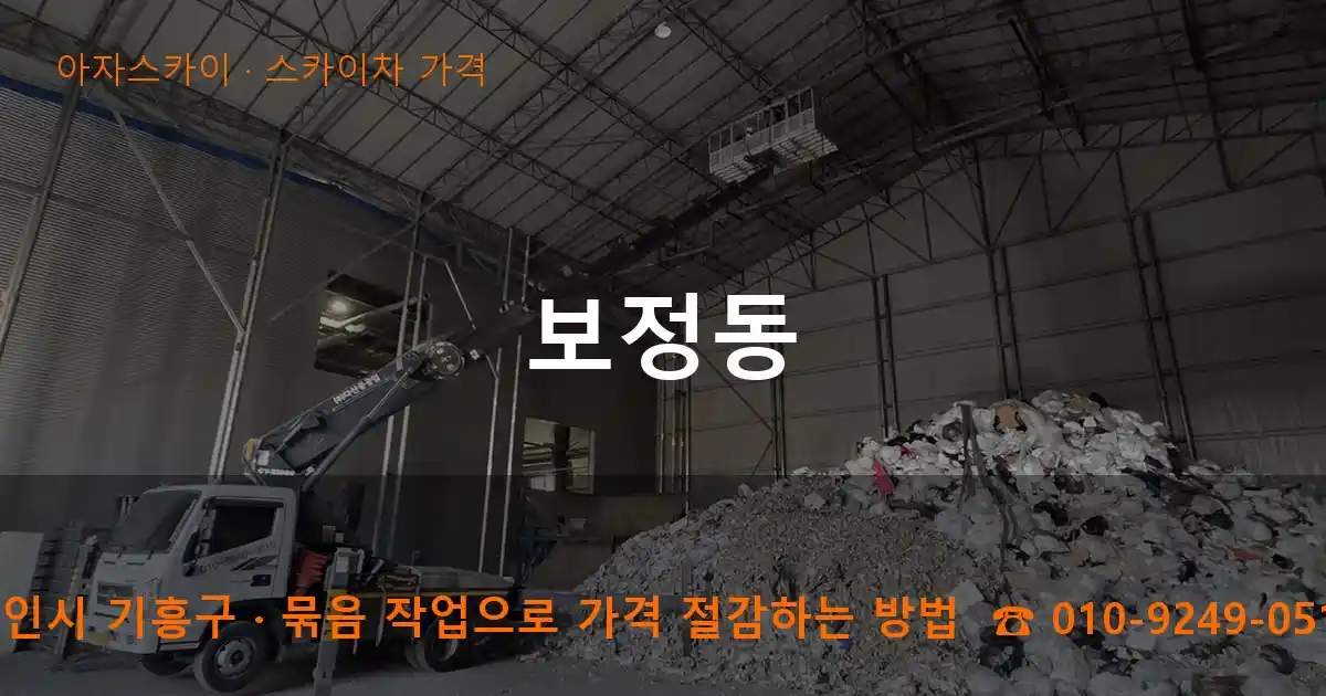 용인시 기흥구 보정동 스카이차 가격 작업