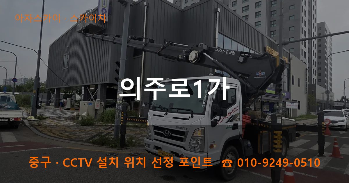 중구 의주로1가 스카이차 작업