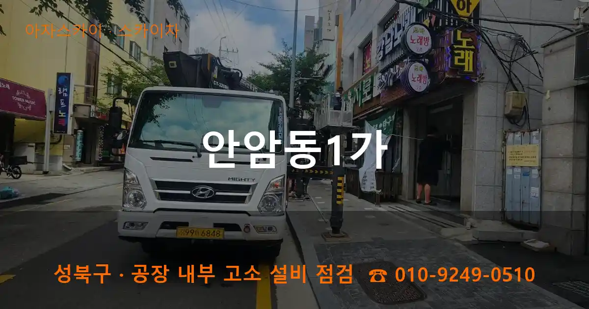성북구 안암동1가 스카이차 작업