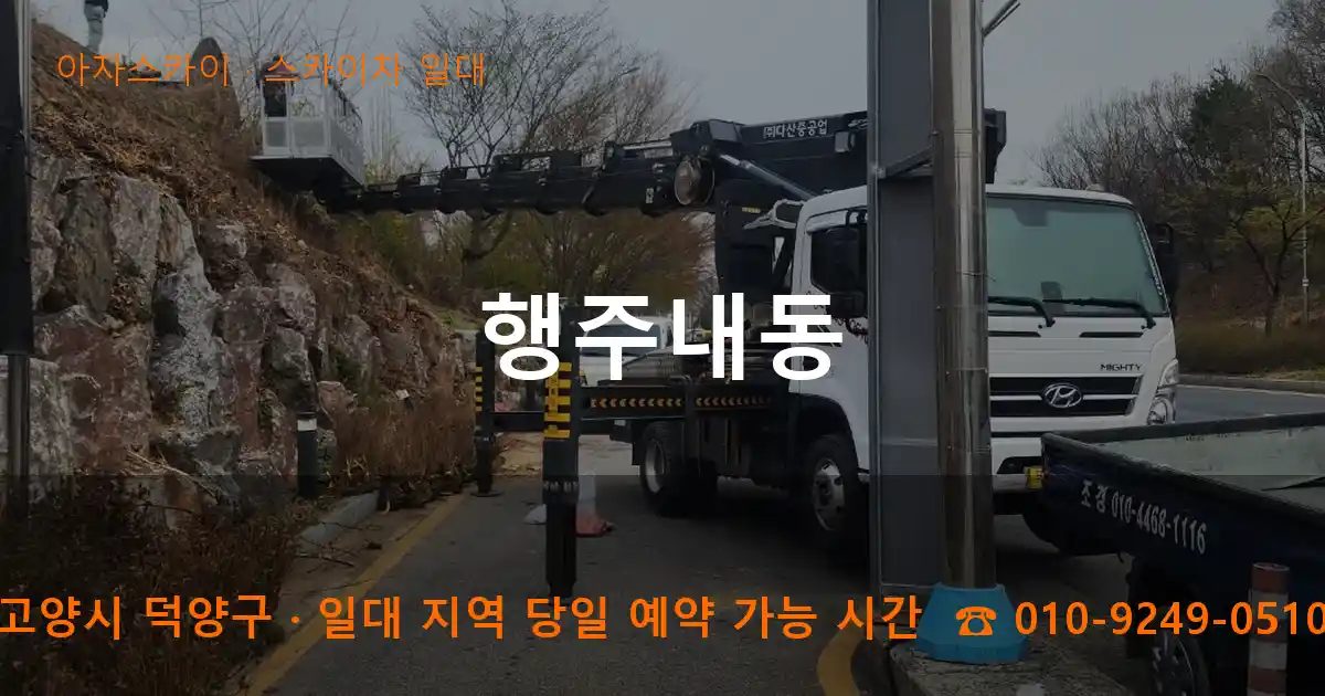고양시 덕양구 행주내동 스카이차 출장 작업