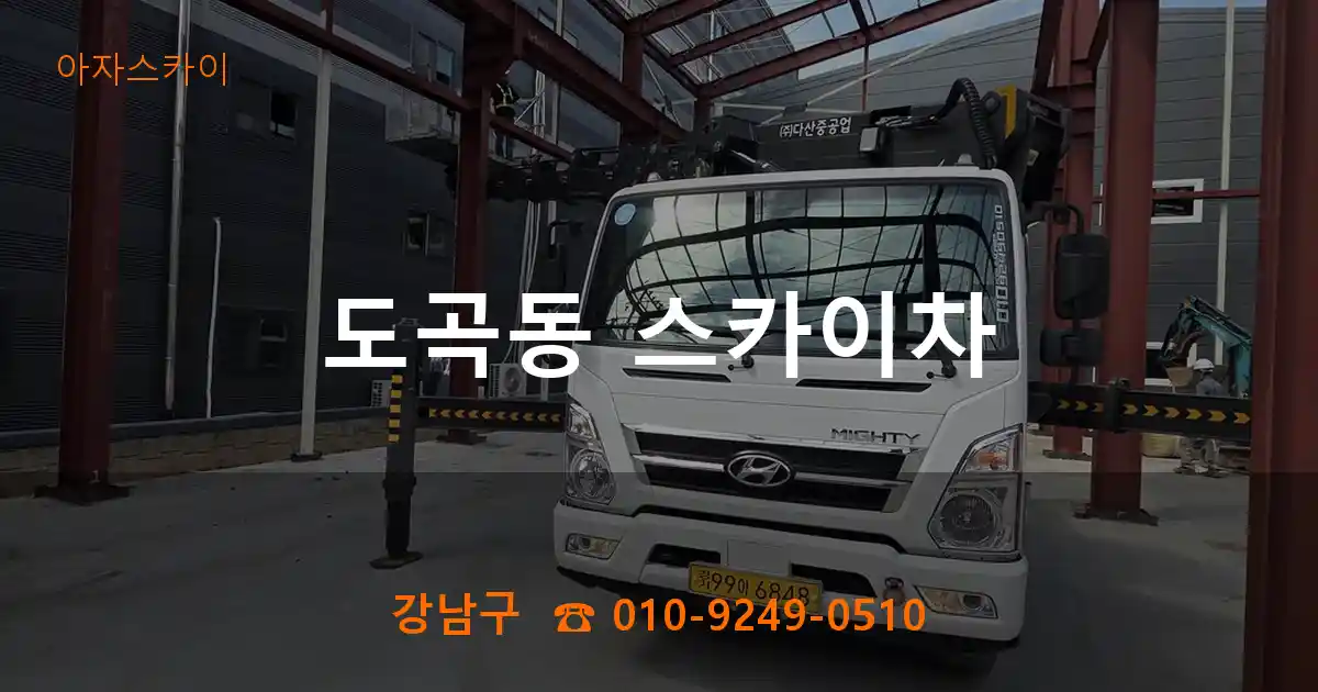 강남구 도곡동 스카이차