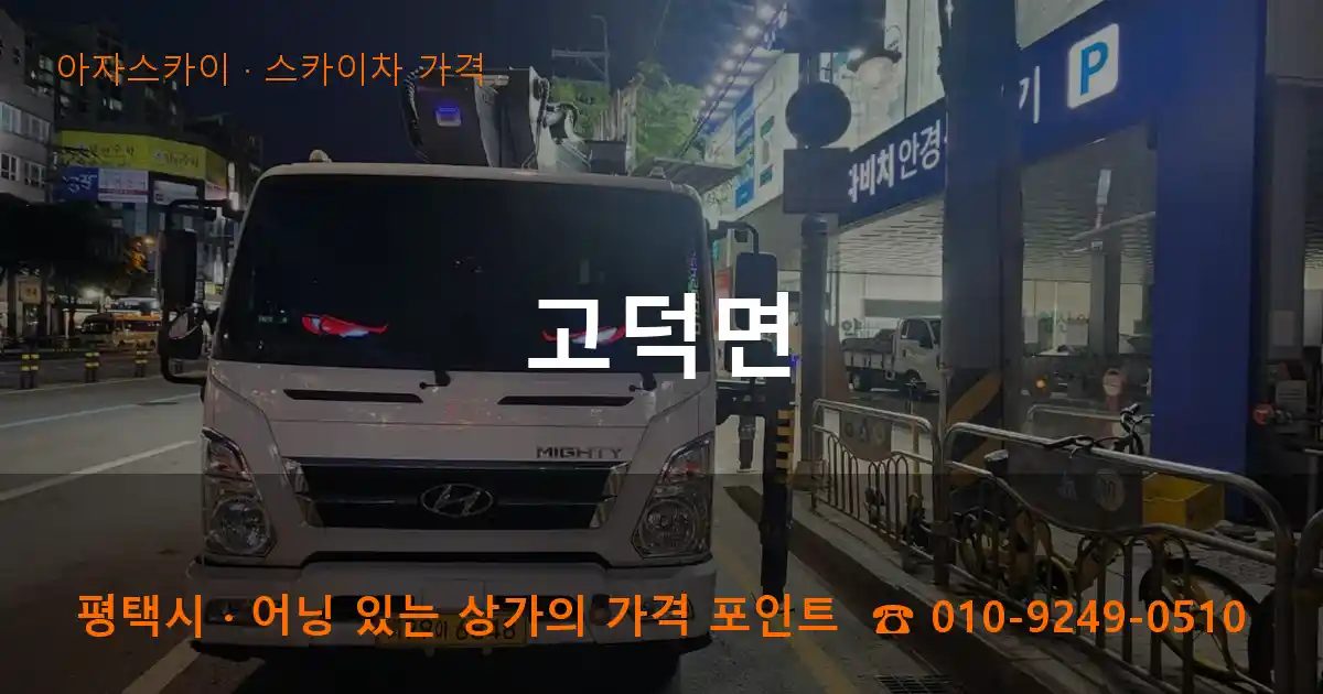 평택시 고덕면 스카이차 가격 작업