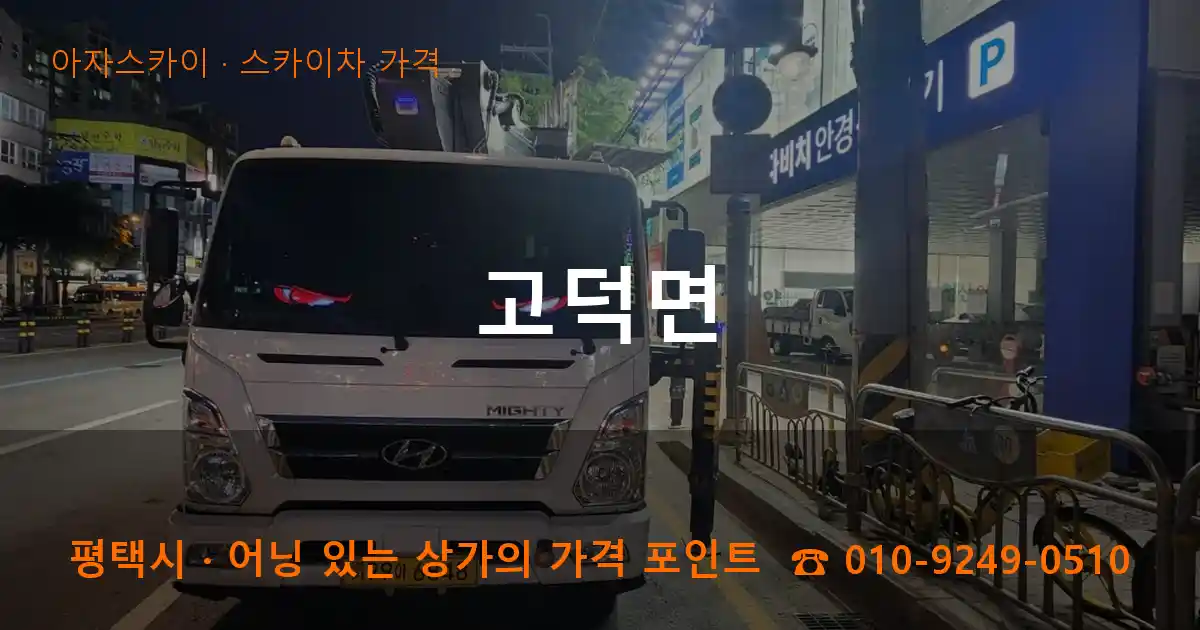 평택시 고덕면 스카이차 가격 작업