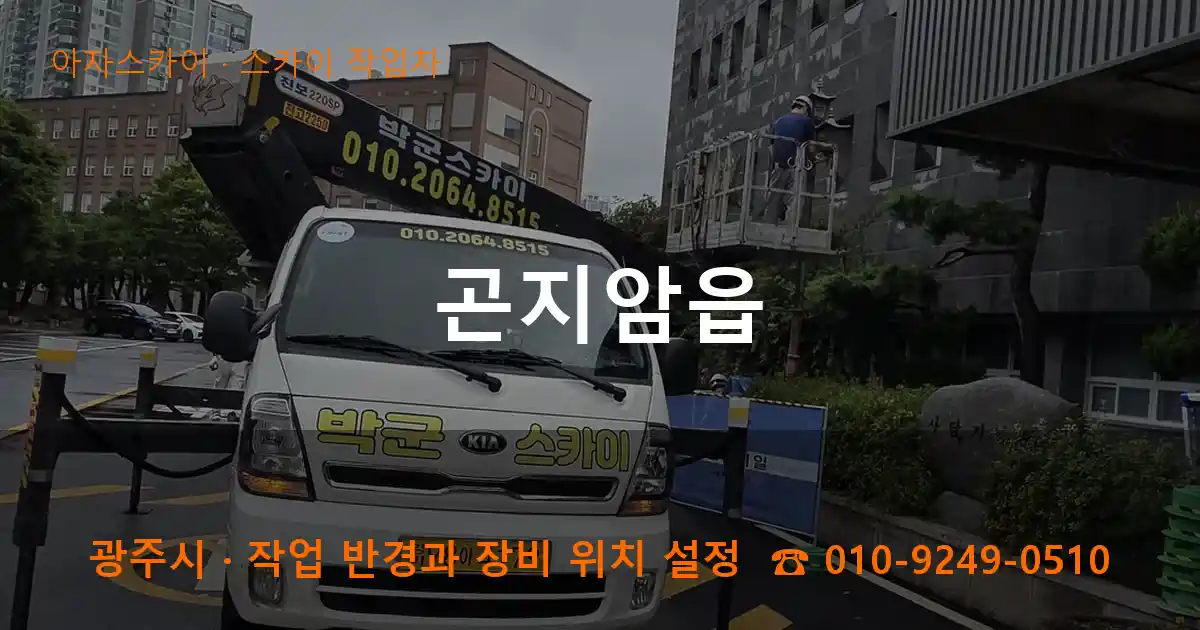 광주시 곤지암읍 스카이 작업차 작업