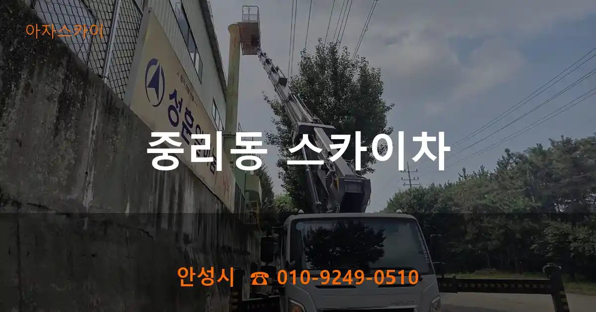 안성시 중리동 스카이차