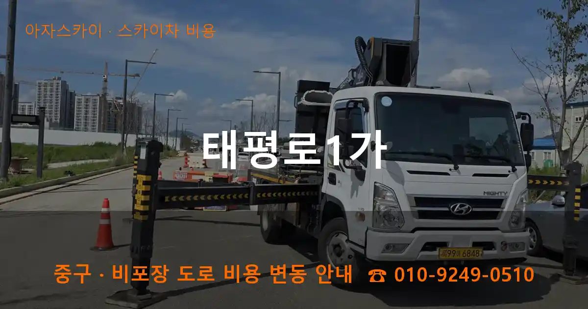 중구 태평로1가 스카이차 비용 작업