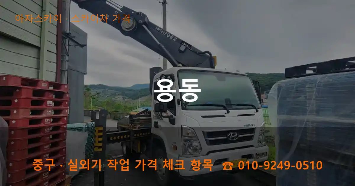 중구 용동 스카이차 가격 작업
