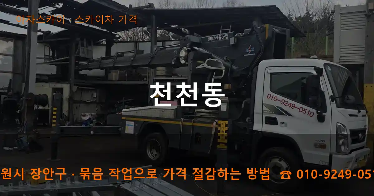 수원시 장안구 천천동 스카이차 가격 작업