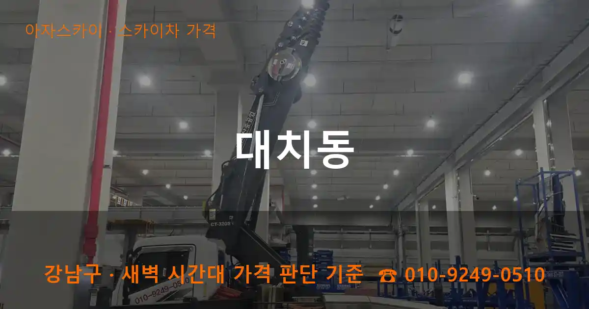 강남구 대치동 스카이차 가격 작업