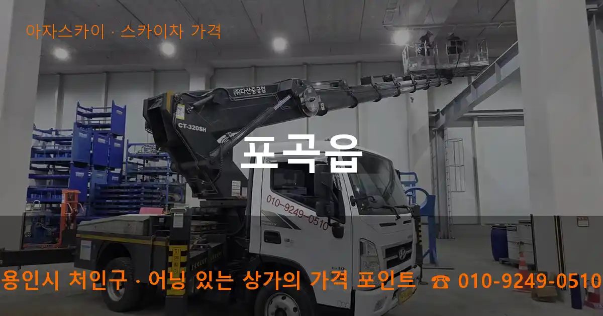 용인시 처인구 포곡읍 스카이차 가격 작업