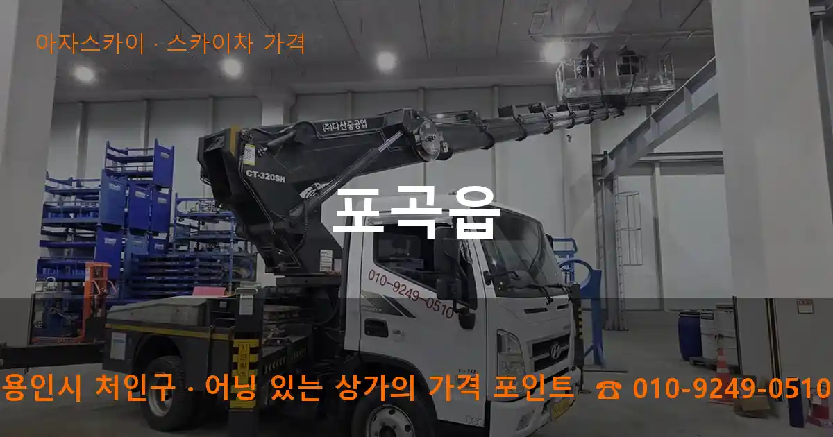 용인시 처인구 포곡읍 스카이차 가격 작업