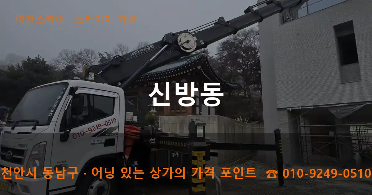 천안시 동남구 신방동 스카이차 가격 작업