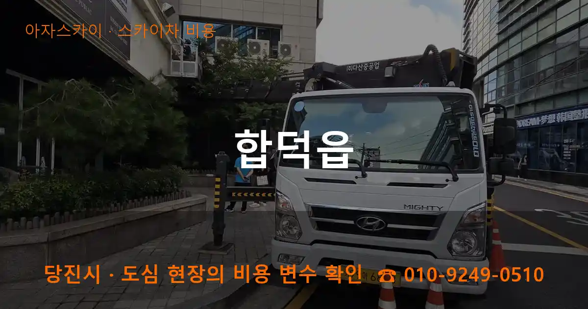 당진시 합덕읍 스카이차 비용 작업