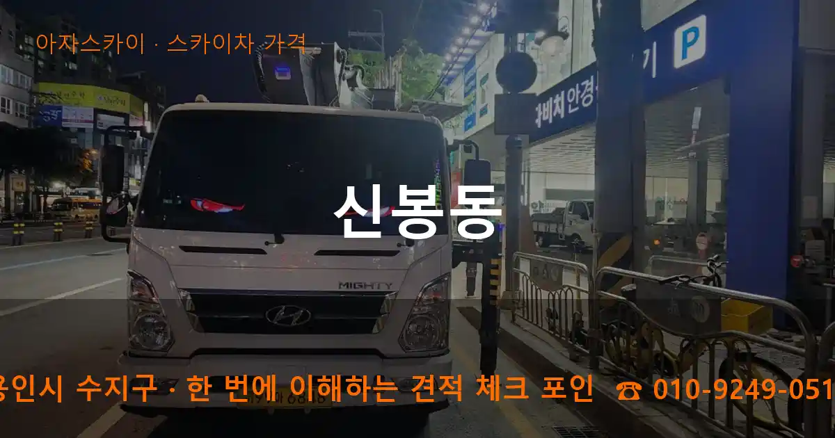용인시 수지구 신봉동 스카이차 가격 작업