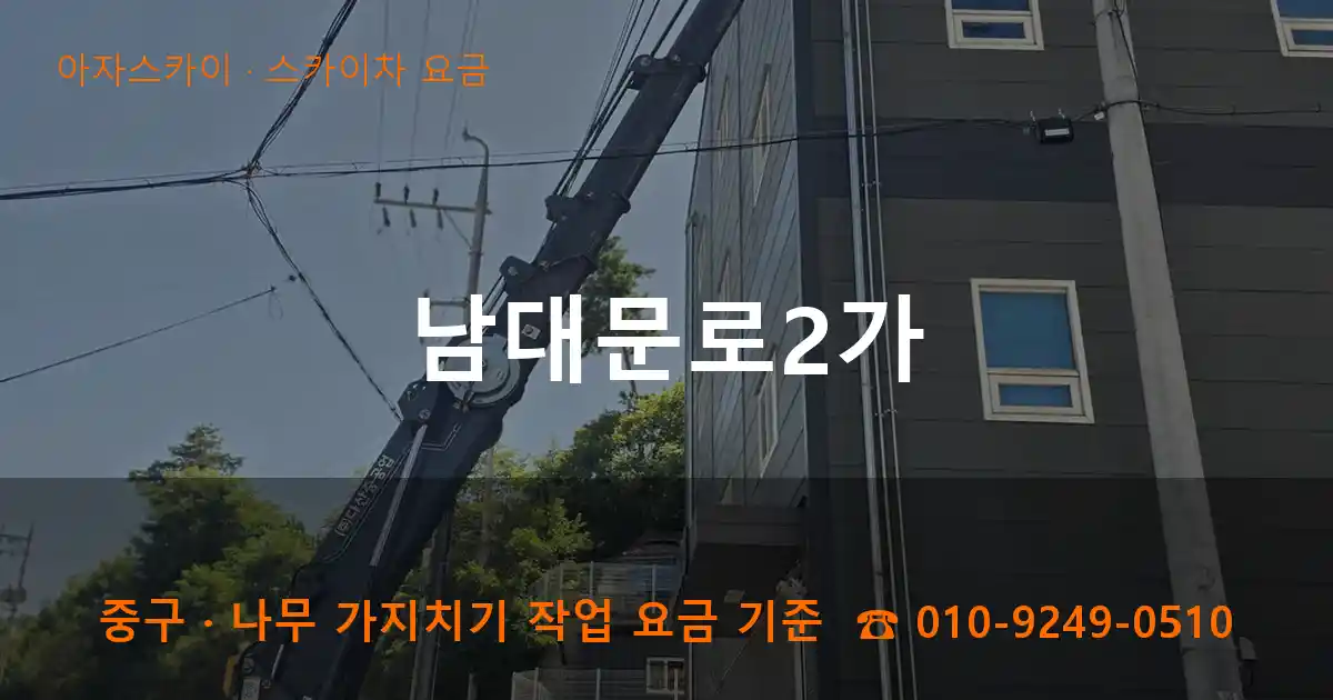 중구 남대문로2가 스카이차 요금 작업