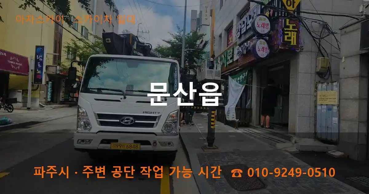 파주시 문산읍 스카이차 출장 작업