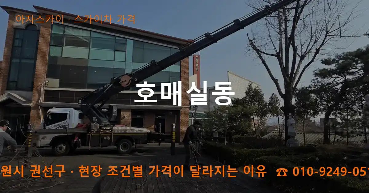 수원시 권선구 호매실동 스카이차 가격 작업