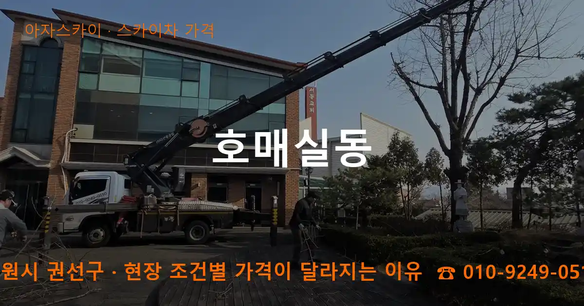 수원시 권선구 호매실동 스카이차 가격 작업