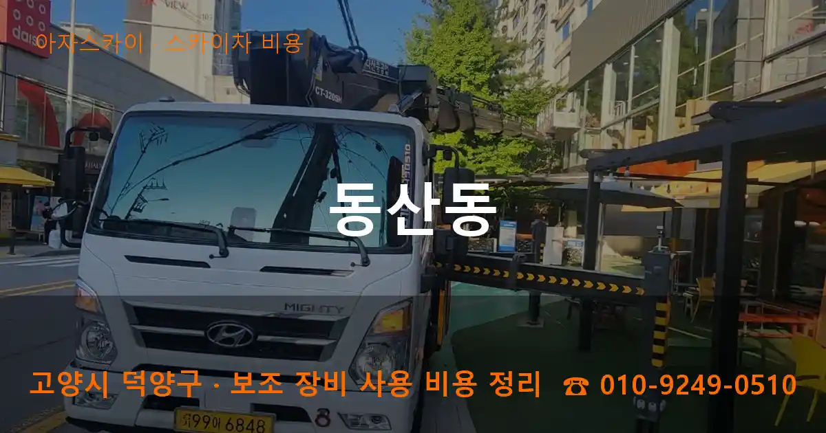고양 덕양구 동산동 스카이차 비용 작업