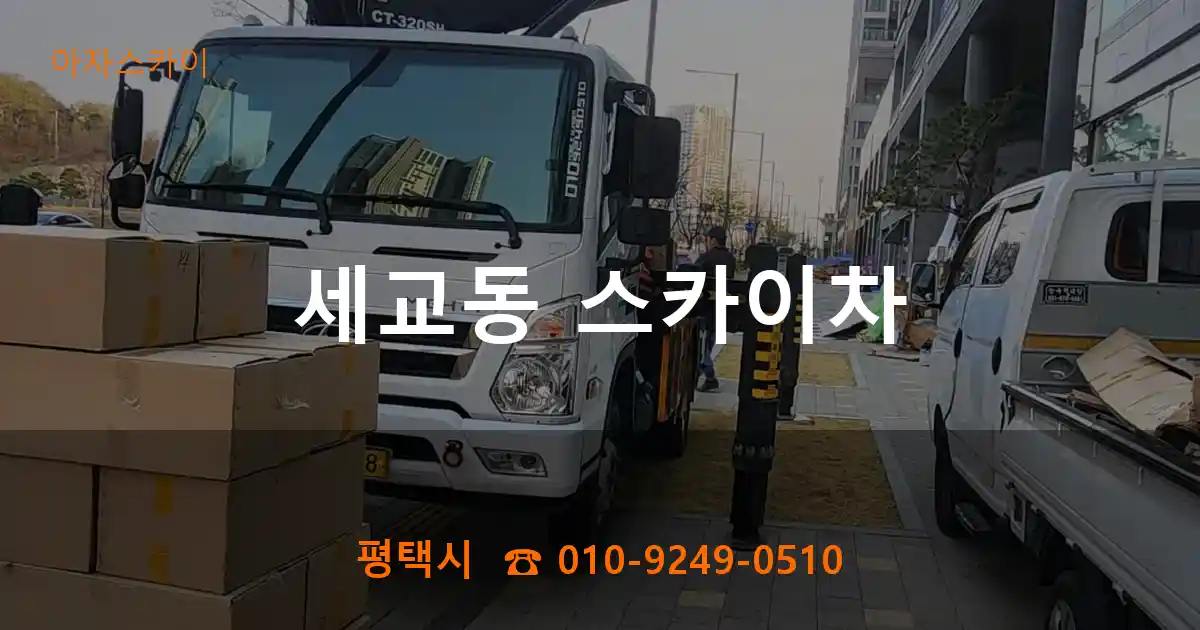 평택시 세교동 스카이차