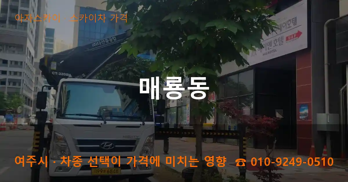 여주시 매룡동 스카이차 가격 작업