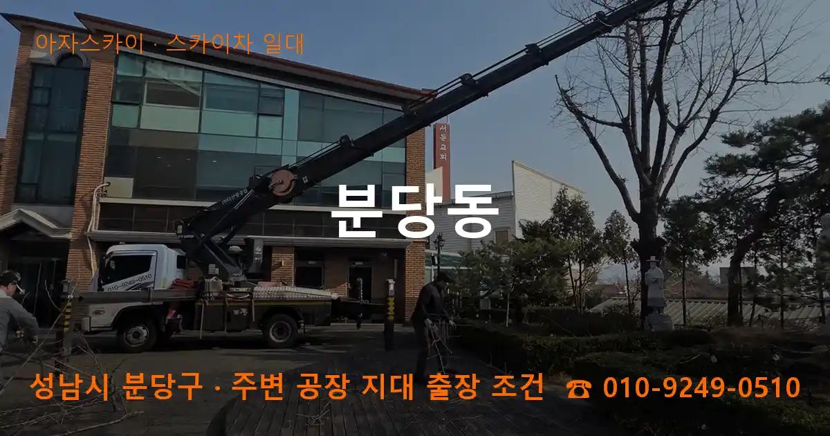 성남시 분당구 분당동 스카이차 일대 작업