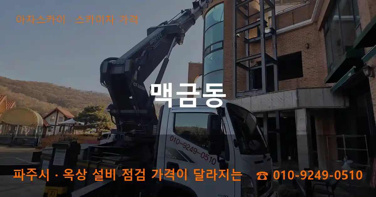 파주시 맥금동 스카이차 가격 작업