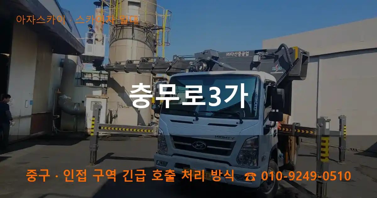 중구 충무로3가 스카이차 출장 작업