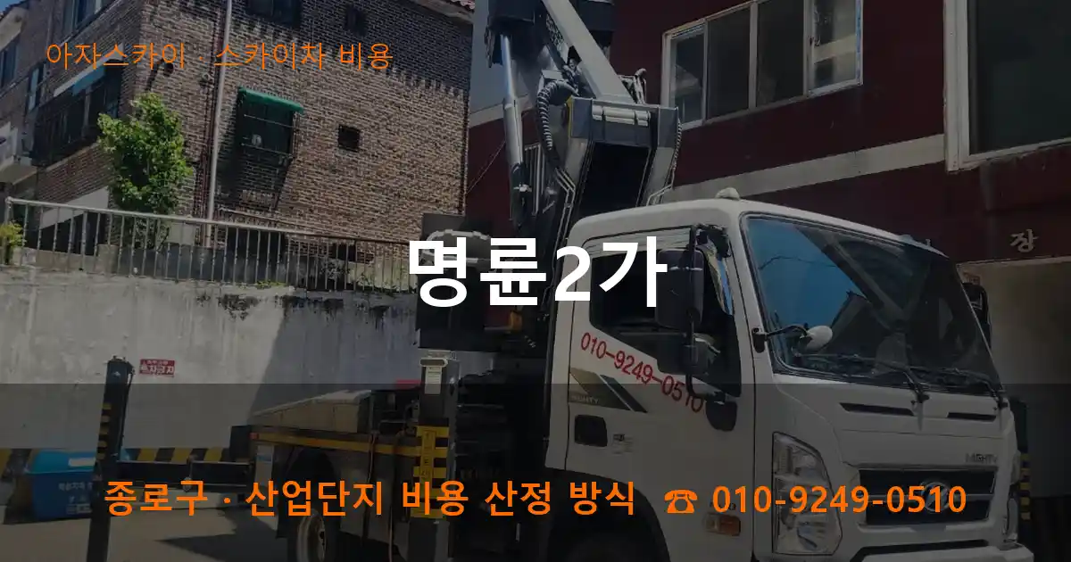 종로구 명륜2가 스카이차 비용 작업